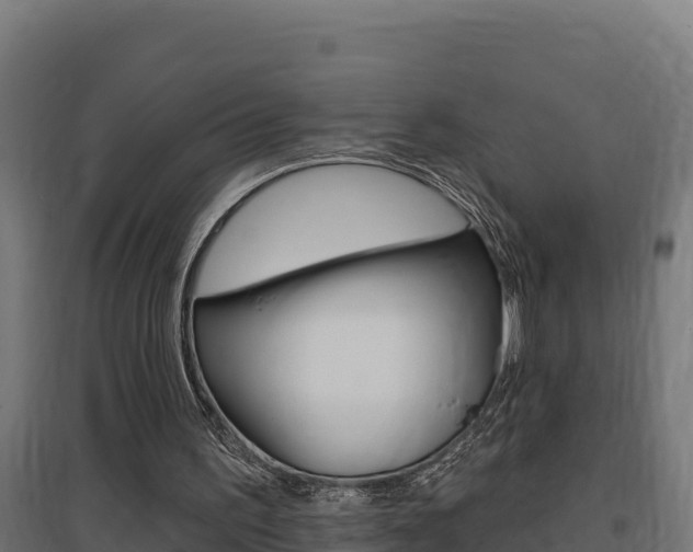 X0000097670195200802290954