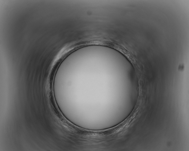 X0000097670198200802290954