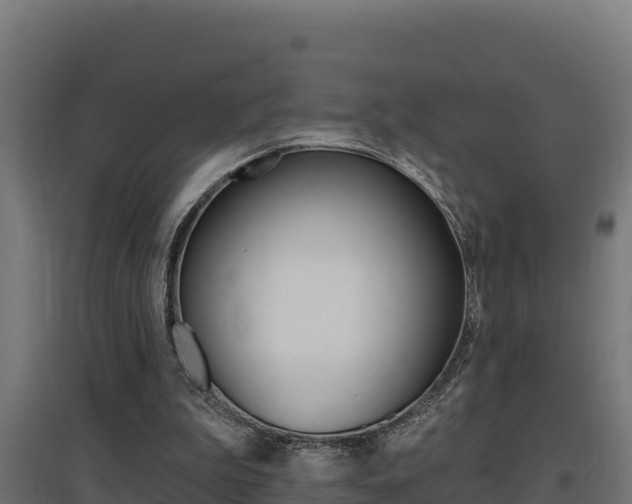 X0000097670199200802290954