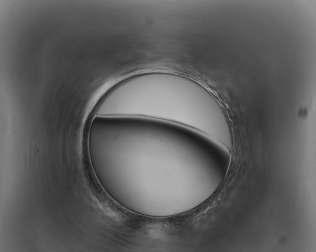X0000097670200200802290954