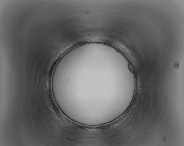 X0000097670202200802290954