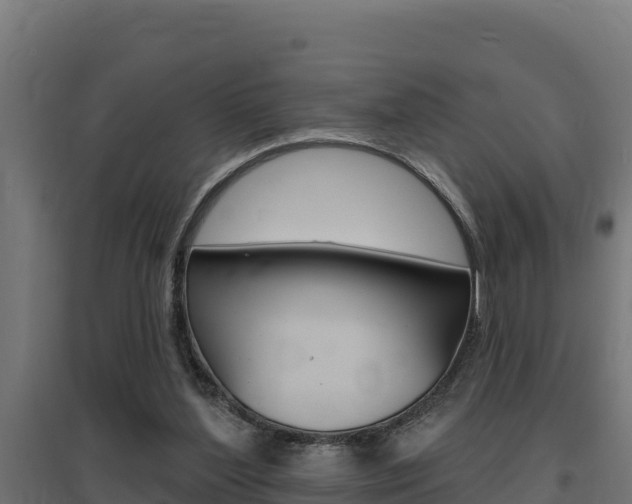 X0000097670204200802290954