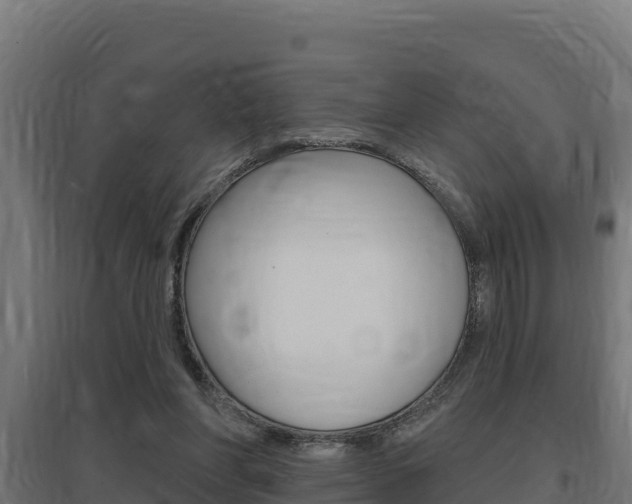 X0000097670206200802290954