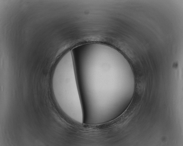 X0000097670207200802290954