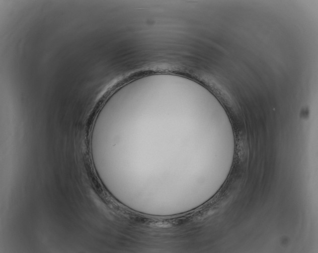 X0000097670208200802290953