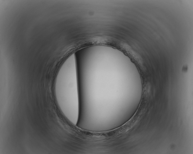 X0000097670209200802290953