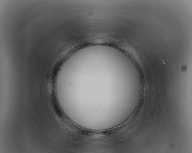 X0000097670210200802290953