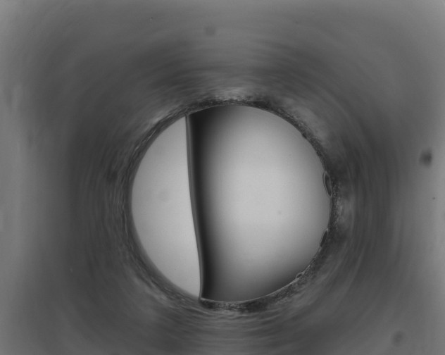 X0000097670211200802290953