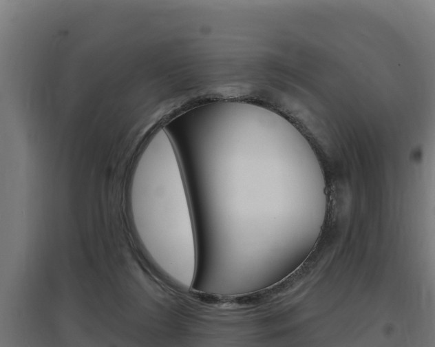 X0000097670212200802290953