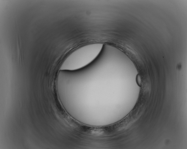 X0000097670214200802290953