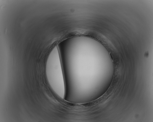 X0000097670215200802290953