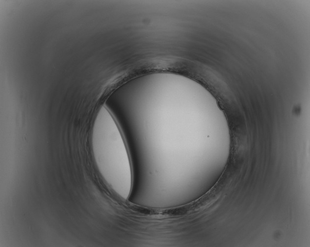 X0000097670216200802290953