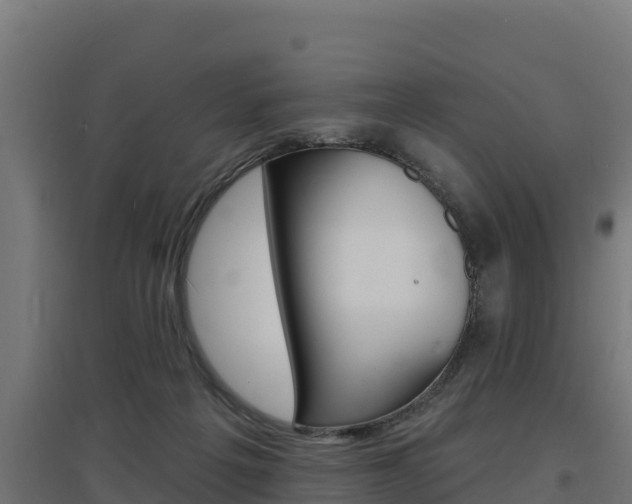 X0000097670217200802290953