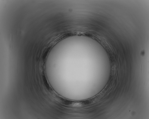X0000097670218200802290953