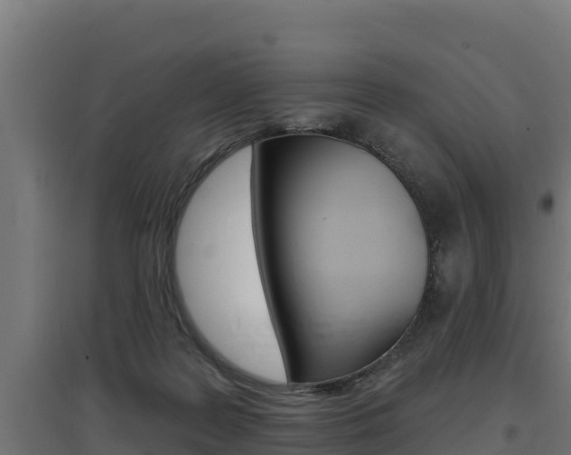 X0000097670219200802290953