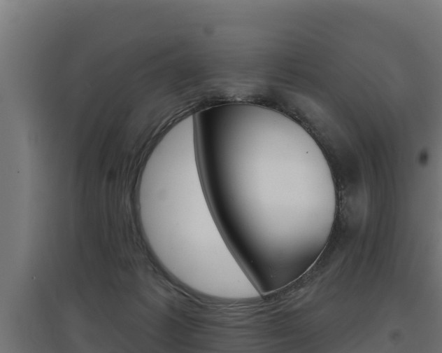 X0000097670221200802290953