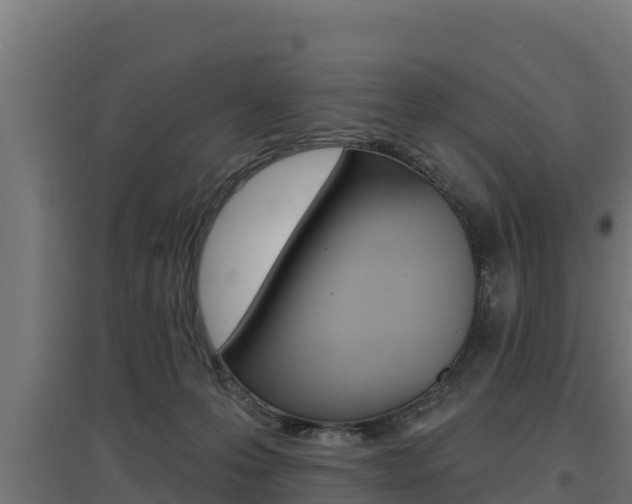 X0000097670223200802290953
