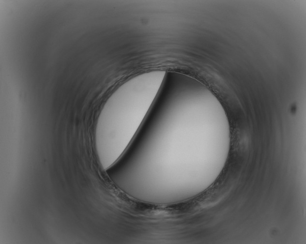 X0000097670224200802290953