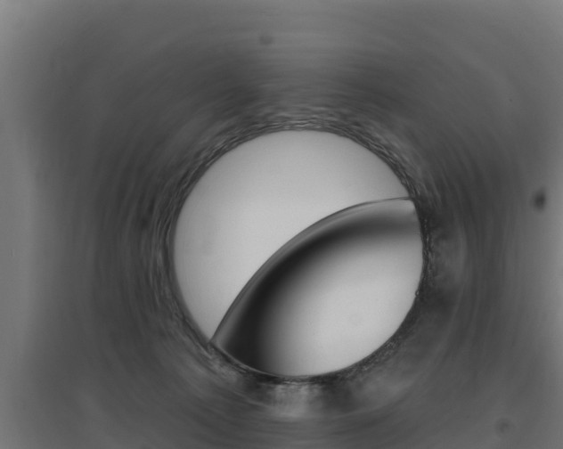 X0000097670225200802290953