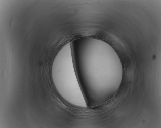 X0000097670227200802290953
