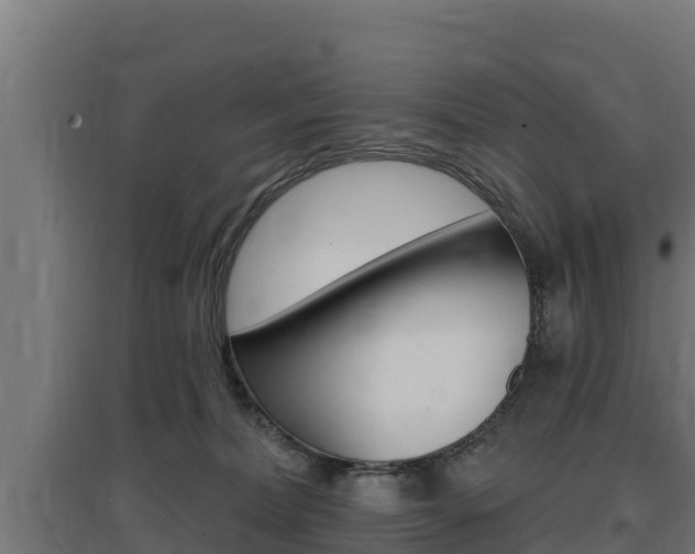 X0000097670228200802290953