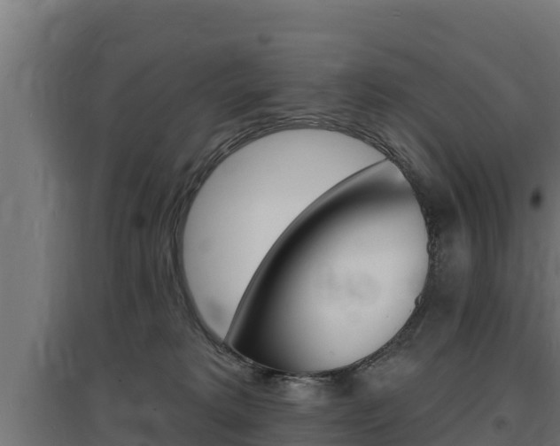 X0000097670229200802290953