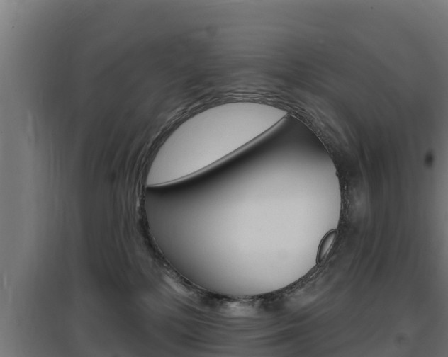 X0000097670232200802290953