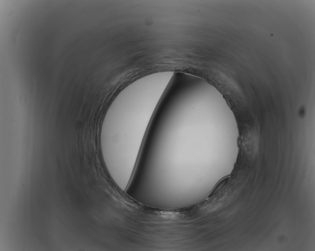 X0000097670233200802290953
