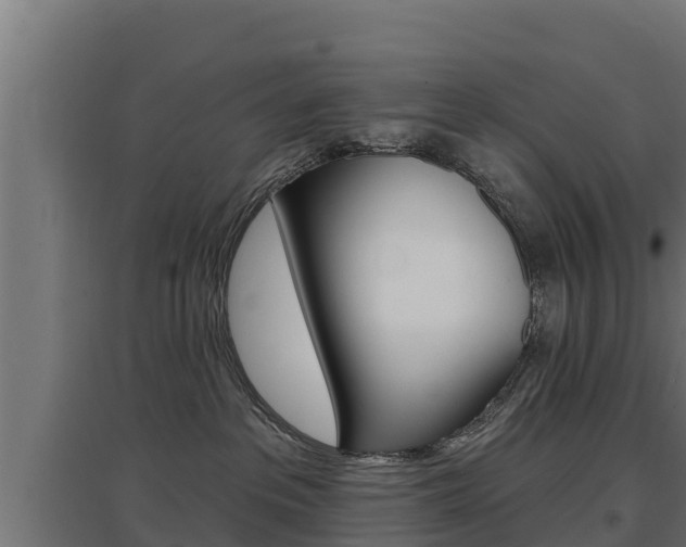 X0000097670237200802290953