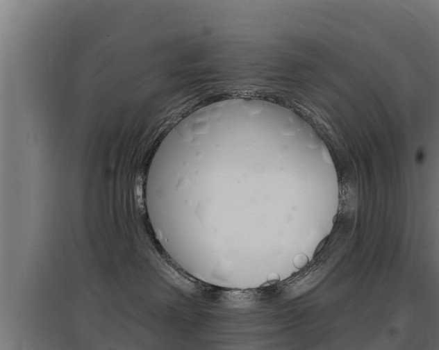 X0000097670238200802290953