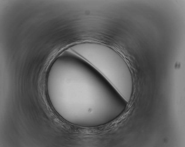 X0000097670241200802290952