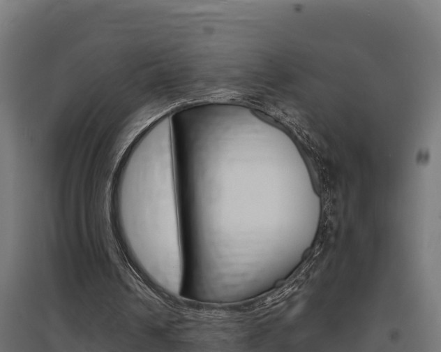 X0000097670242200802290952