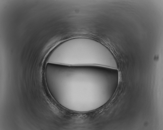 X0000097670243200802290952