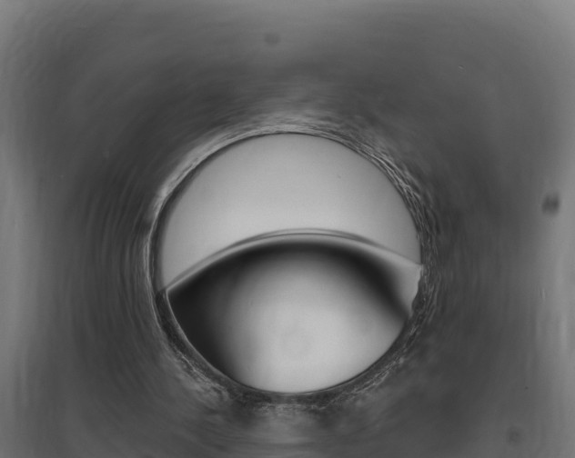 X0000097670244200802290952