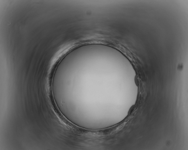 X0000097670245200802290952