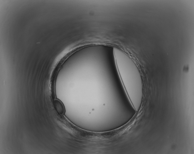 X0000097670246200802290952