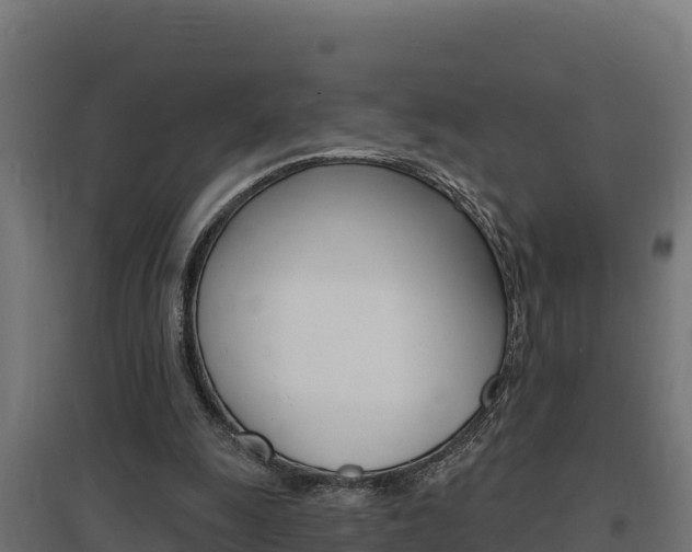 X0000097670247200802290952