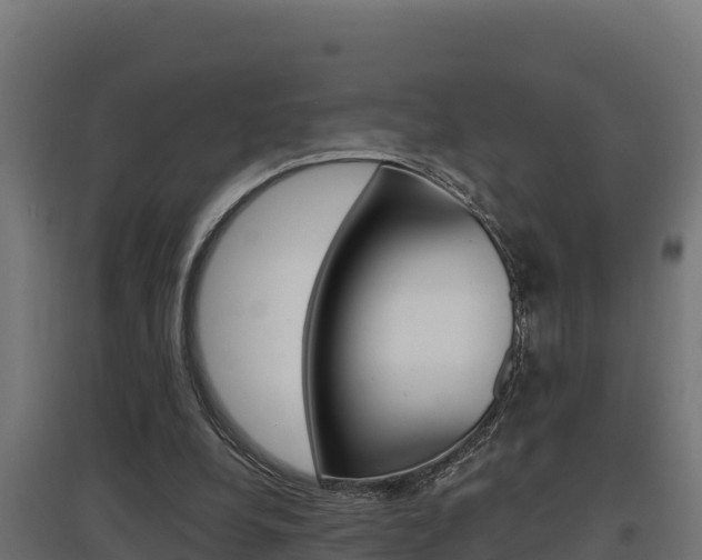 X0000097670248200802290952