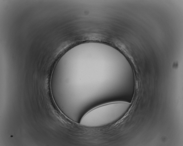 X0000097670249200802290952