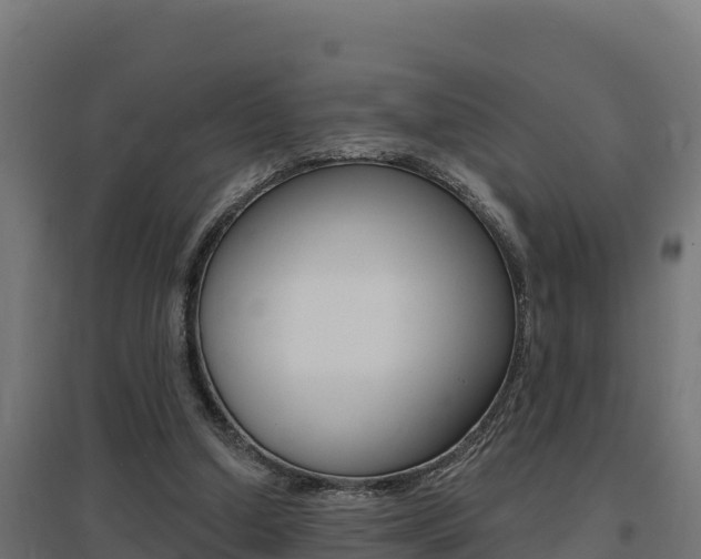X0000097670250200802290952