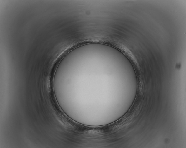X0000097670251200802290952