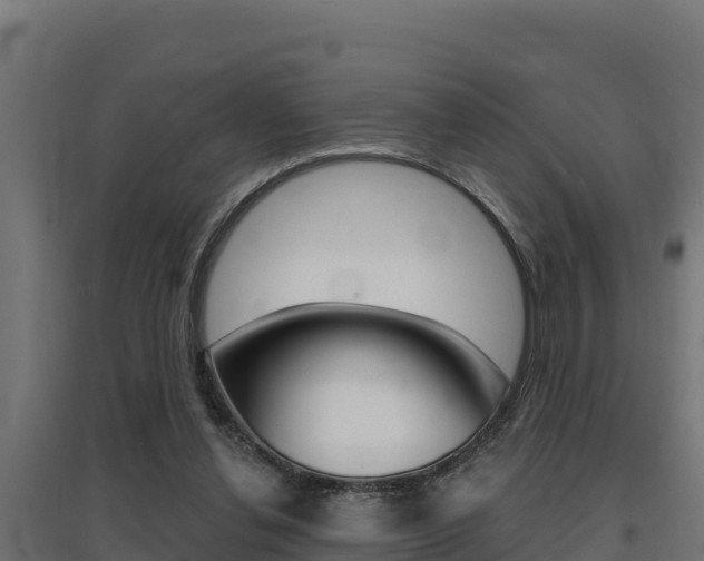 X0000097670252200802290953