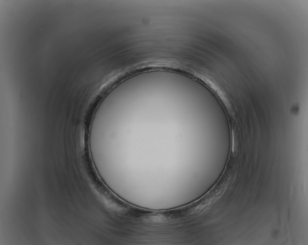 X0000097670253200802290953