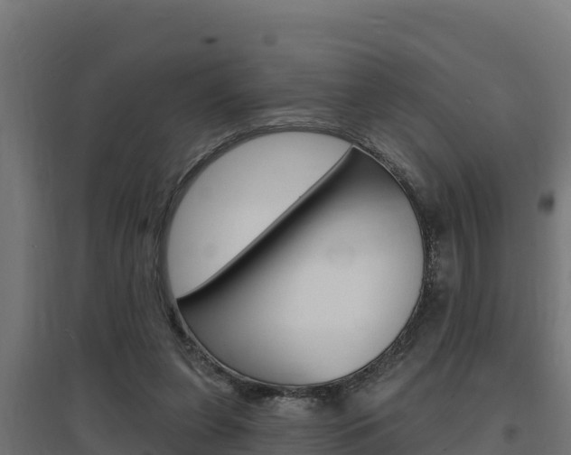 X0000097670255200802290953