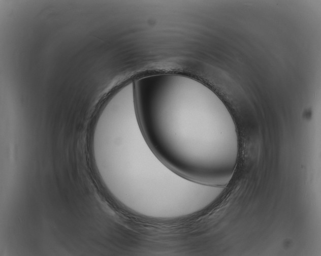 X0000097670256200802290953