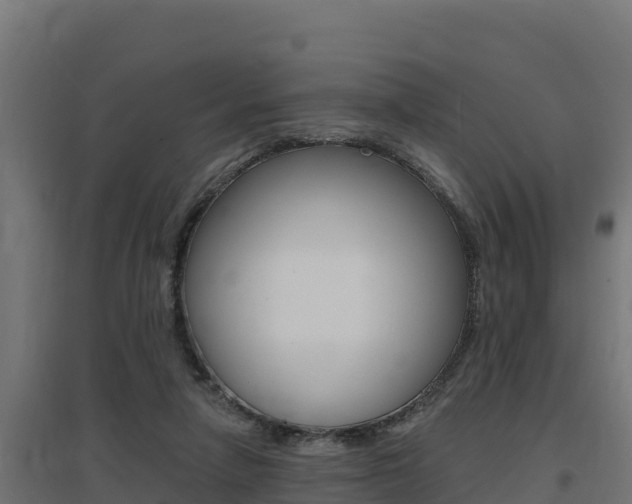 X0000097670258200802290953