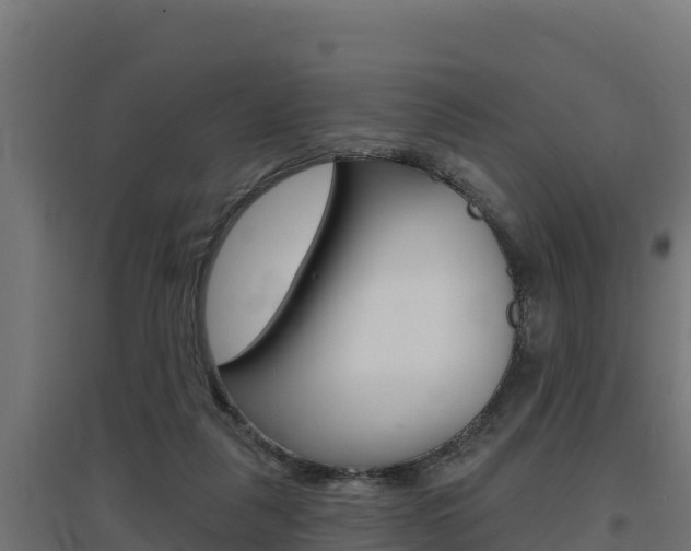 X0000097670259200802290953
