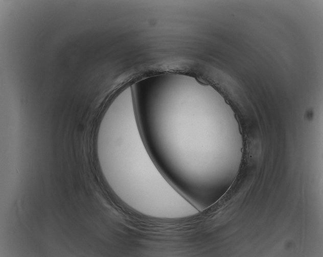 X0000097670260200802290953