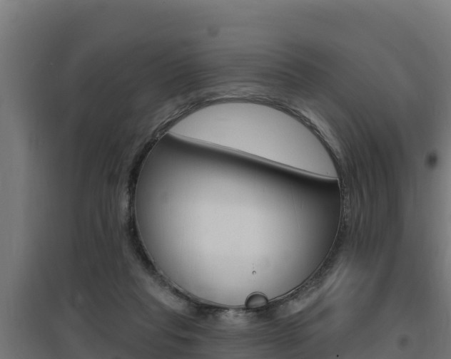 X0000097670261200802290953