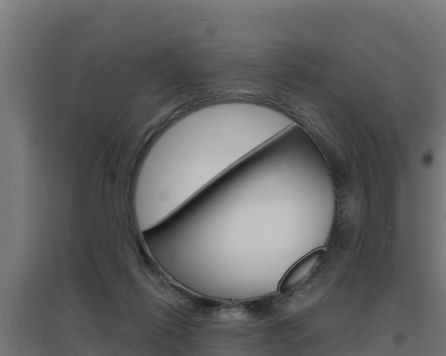 X0000097670262200802290953